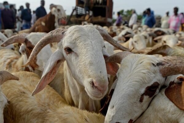 Eid al-Adha